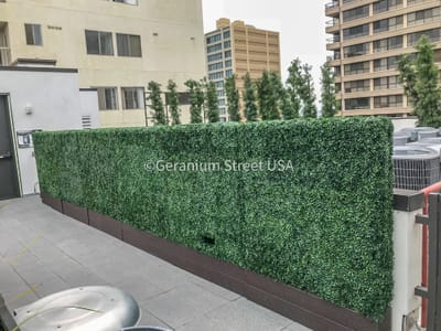 Large hedge installation