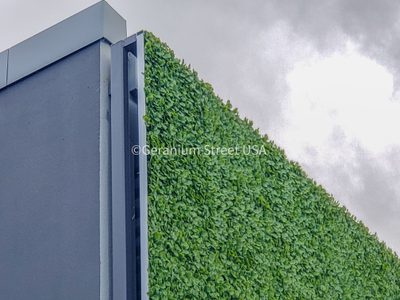 Vertical garden installation