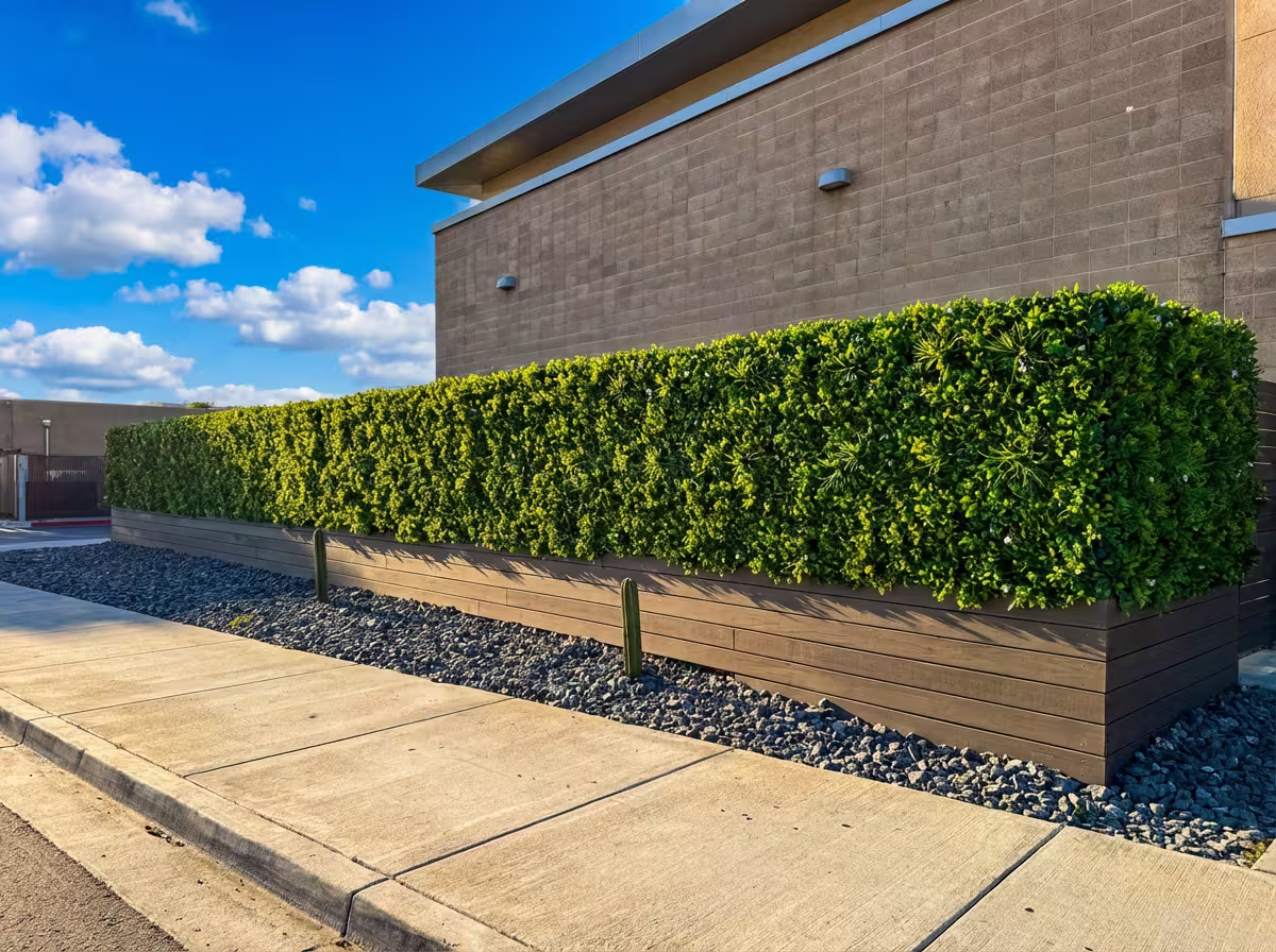 Oasis Living Wall Mat